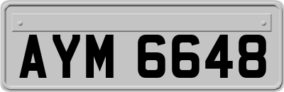 AYM6648
