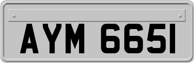 AYM6651