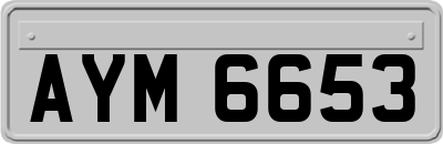 AYM6653