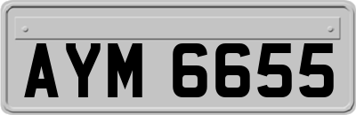 AYM6655