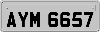 AYM6657