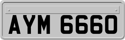 AYM6660