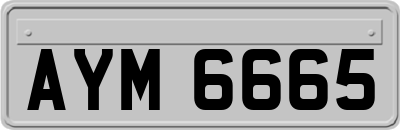AYM6665