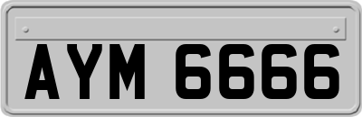 AYM6666