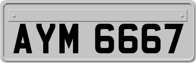 AYM6667