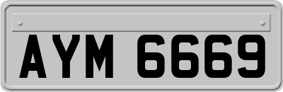 AYM6669