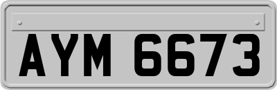 AYM6673