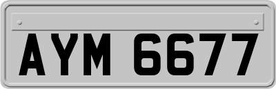 AYM6677