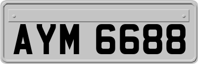 AYM6688