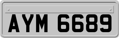 AYM6689