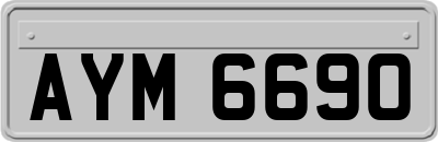 AYM6690