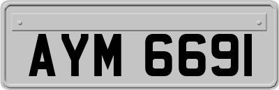 AYM6691