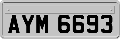 AYM6693