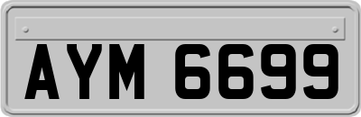 AYM6699