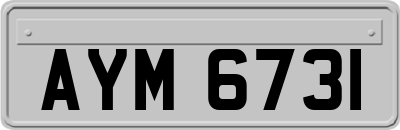 AYM6731