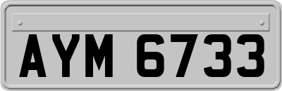 AYM6733