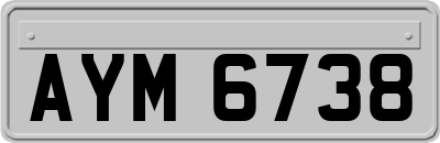 AYM6738