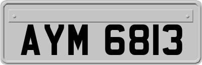 AYM6813