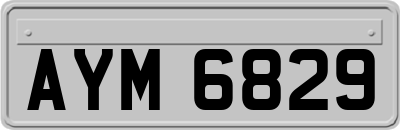 AYM6829