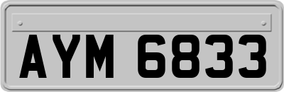 AYM6833