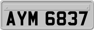 AYM6837