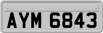 AYM6843