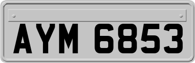 AYM6853