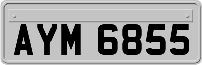 AYM6855