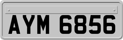 AYM6856