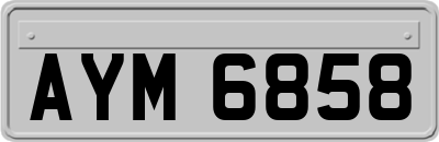 AYM6858