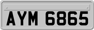 AYM6865
