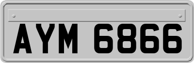 AYM6866