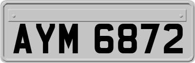 AYM6872