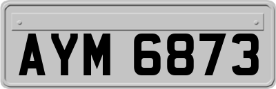 AYM6873