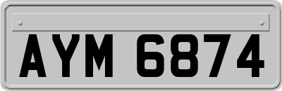 AYM6874