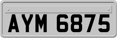AYM6875