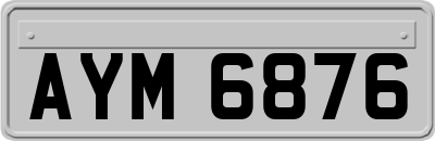 AYM6876