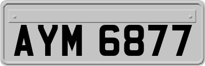 AYM6877