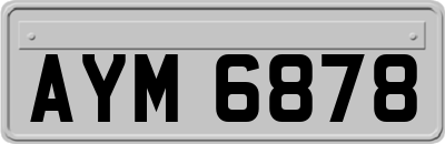 AYM6878