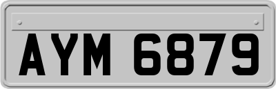 AYM6879