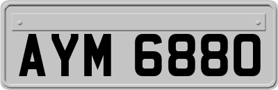 AYM6880