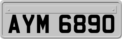 AYM6890