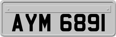 AYM6891