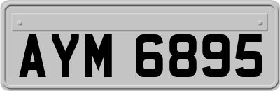 AYM6895
