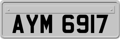 AYM6917