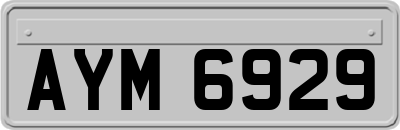 AYM6929