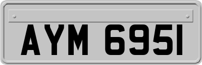 AYM6951
