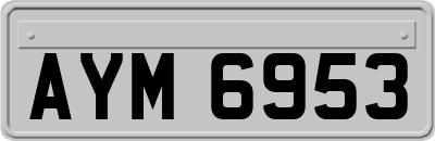 AYM6953