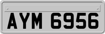 AYM6956