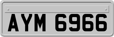AYM6966